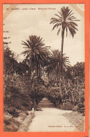 32806 / ⭐ ALGER (•◡•) Algérie ◉ Jardin D'Essai Allée Des Palmiers 1910s ◉ Collection REGANES Editeur A.L 16 - Algeri