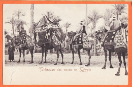32697 / ⭐ (•◡•) Ethnic ♥️ Tahtiravan Des Noces En EGYPTE Chameaux Portant Cymbaliers Noces Arabes 1900s - Personen