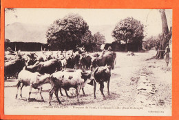 32633 / ⭐ (•◡•) SAINTE-FAMILLE Haut-Oubanghi Congo Français Troupeau Boeufs ◉ Collection LERAY 100 Mission Mgr AUGOUARD - Frans-Kongo