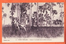 32614 / ⭐ (•◡•) CONGO FRANCAIS ◉ Ane CLAIRON En Tournée Dans Foret BORASSUS Mission AUGOUARD ◉ Collection LERAY 59 - Congo Francese