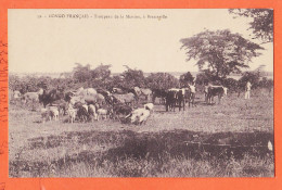 32603 / ⭐ (•◡•) BRAZZAVILLE Congo Français ◉ Troupeau De La Mission Mgr AUGOUARD ◉ Collection LERAY 39 - Congo Francese