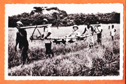 32570 / ⭐ (•◡•) GABON A.E.F  ◉ Portage En Typoye En Voie De Disparition 1940s ◉ Photo-Bromure PAULEAU Douala - Gabón