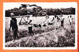 32570 / ⭐ (•◡•) GABON A.E.F  ◉ Portage En Typoye En Voie De Disparition 1940s ◉ Photo-Bromure PAULEAU Douala - Gabon