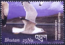 Bhutan 2003 MNH, Caspian Gull, Gulls, Water Birds - Marine Web-footed Birds