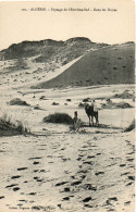 ALGERIE -  120 - Paysage De L'Extrême Sud  Dans Les Dunes- Collection Régence E. L. édit. Alger (Leroux) - - Altri & Non Classificati