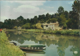 La Venise Verte - La Sèvre à Coulon - (P) - Other & Unclassified