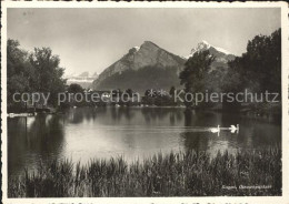 11645978 Bad Ragaz Giessenparksee Schwan Alpenpanorama Bad Ragaz - Autres & Non Classés