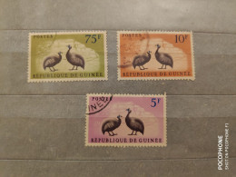 Guinea	Birds (F96) - Guinée (1958-...)