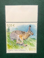 Estonia 2011 - European Brown Hare. - Estonia