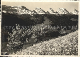 11645894 Unterwasser Toggenburg Hotel Sternen Bergrestaurant Iltios Baumbluete B - Sonstige & Ohne Zuordnung