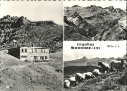 11645842 Flums Berggasthaus Maschcachamm Luecke Schafe Alpenpanorama Flums - Altri & Non Classificati