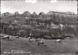 11645803 Flumserberg Bergheim Blick Von Der Prodalp Auf Churfirsten Appenzeller  - Andere & Zonder Classificatie