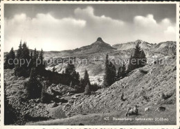 11645790 Flums Flumserberg Mit Spitzmeilen Glarner Alpen Flums - Altri & Non Classificati