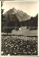 11645751 Grabs SG Alpenflora Beim Kurhaus Voralp Grabs - Sonstige & Ohne Zuordnung