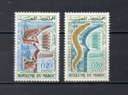 MAROC N°  448 + 449    NEUFS SANS CHARNIERE  COTE 2.20€    POISSON ANIMAUX AQUARIUM FAUNE - Marocco (1956-...)