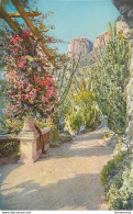 CPA Monaco-Jardin Exotique-Bougainvilliers       L1065 - Giardino Esotico