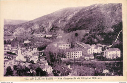 CPA Amélie Les Bains-Vue D'ensemble   L1060 - Sonstige & Ohne Zuordnung