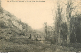 CPA Orliénas-Sous Bois Des Roches    L1046 - Autres & Non Classés