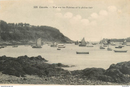 CPA Cancale-Vue Sur Les Falaises Et La Pleine Mer     L1101 - Cancale