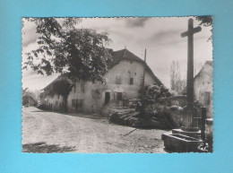 OUDE POSTKAART -  HET KRUIS VAN HET DORP  (15.358) - Boerderijen