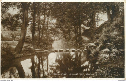 CPA Stepping Stones,Jesmond Dene,Newcastle On Tyne       L1103 - Newcastle-upon-Tyne