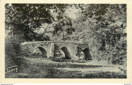 CPA Forêt De Mervent-Le Pont De La Vallée      L1100 - Altri & Non Classificati