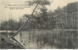 CPA Environs De Plétan Le Grand-Etang De Pont Musard      L1093 - Sonstige & Ohne Zuordnung