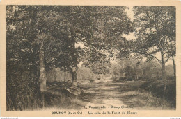 CPA Brunoy-Un Coin De La Forêt De Sénart      L1093 - Brunoy