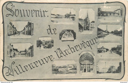 CPA Souvenir De Villeneuve L'Archevêque       L1093 - Villeneuve-l'Archevêque