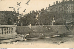 CPA Lyon-Les Mouettes Lyonnaises       L1116 - Other & Unclassified