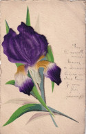 Hand Made Iris Flower Painted And Velvet . Carte Faite Main Iris Peint Et Velours - Fleurs