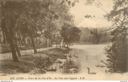 CPA Lyon-Parc De La Tête D'Or       L1116 - Other & Unclassified
