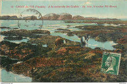 CPA Croix De Vie-A La Recherche Des Crabes-Au Loin Le Rocher Pil Hours-Timbre   L1260 - Other & Unclassified