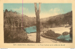CPA Inguiniel-Le Pont Calleck Et La Vallée Du Scorff    L1473 - Autres & Non Classés