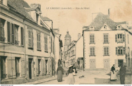 CPA Le Croisic-Rue Du Pilort      L1463 - Le Croisic