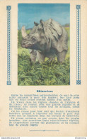 Carte Publicitaire-L'Express Teinture-Rhinocéros      L1427 - Werbepostkarten