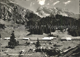 11645667 St Gallen SG Alpli Obertoggenburg Mit Saentis Appenzeller Alpen St. Gal - Sonstige & Ohne Zuordnung