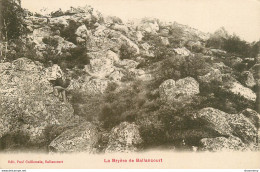 CPA La Bryère-Bruyère De Ballancourt      L1542 - Ballancourt Sur Essonne