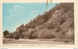 CPA Raon Aux Bois - Un Coin à Raon-Basse - La Grande Roche - Vosges    L1541 - Raon L'Etape