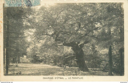 CPA Environs D'Epinal-Le Parapluie-Timbre       L1509 - Epinal