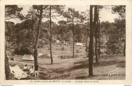 CPA Saint Jean De Monts-Un Coin Dans La Forêt-Timbre    L1493 - Saint Jean De Monts