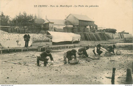 CPA Le Croisic-Parc Du Mont Esprit-La Pêche Des Palourdes    L1490 - Le Croisic