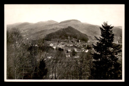 88 - LE THILLOT - DANS SON NID - Le Thillot