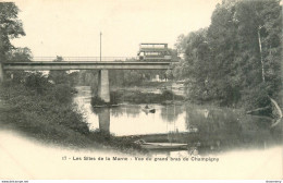 CPA Champigny-Vue Du Grand Bras De Champigny-17-Timbre      L1760 - Champigny Sur Marne