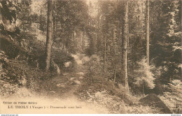 CPA Le Tholy-Promenade Sous Bois-Timbre       L1750 - Autres & Non Classés