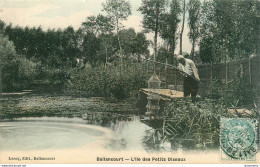 CPA Ballancourt-L'ile Des Petits Oiseaux-Timbre       L1770 - Ballancourt Sur Essonne