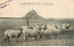 CPA Le Mont Saint Michel-Les Prés Salés     L1978 - Le Mont Saint Michel