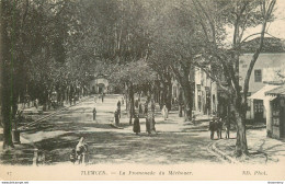 CPA Tlemcen-La Promenade Du Méchouar-17       L1947 - Tlemcen