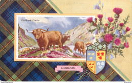 CPA Gordon-Highland Cattle       L1860 - Autres & Non Classés