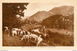 CPA Lourdes-La Vallée Et Le Pic Du Jer     L2144 - Lourdes